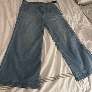 KUT from the Kloth Meg jeans, high rise, wide leg.